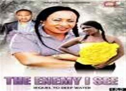 the enemy i see