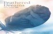 Feathered-Dreams-400-x-566