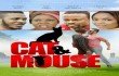 cat-and-mouse