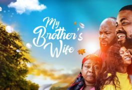 My Brother's Wife Movie