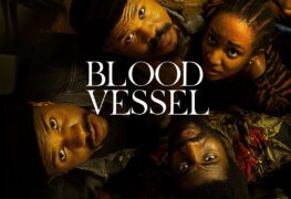 blood vessel play network movie